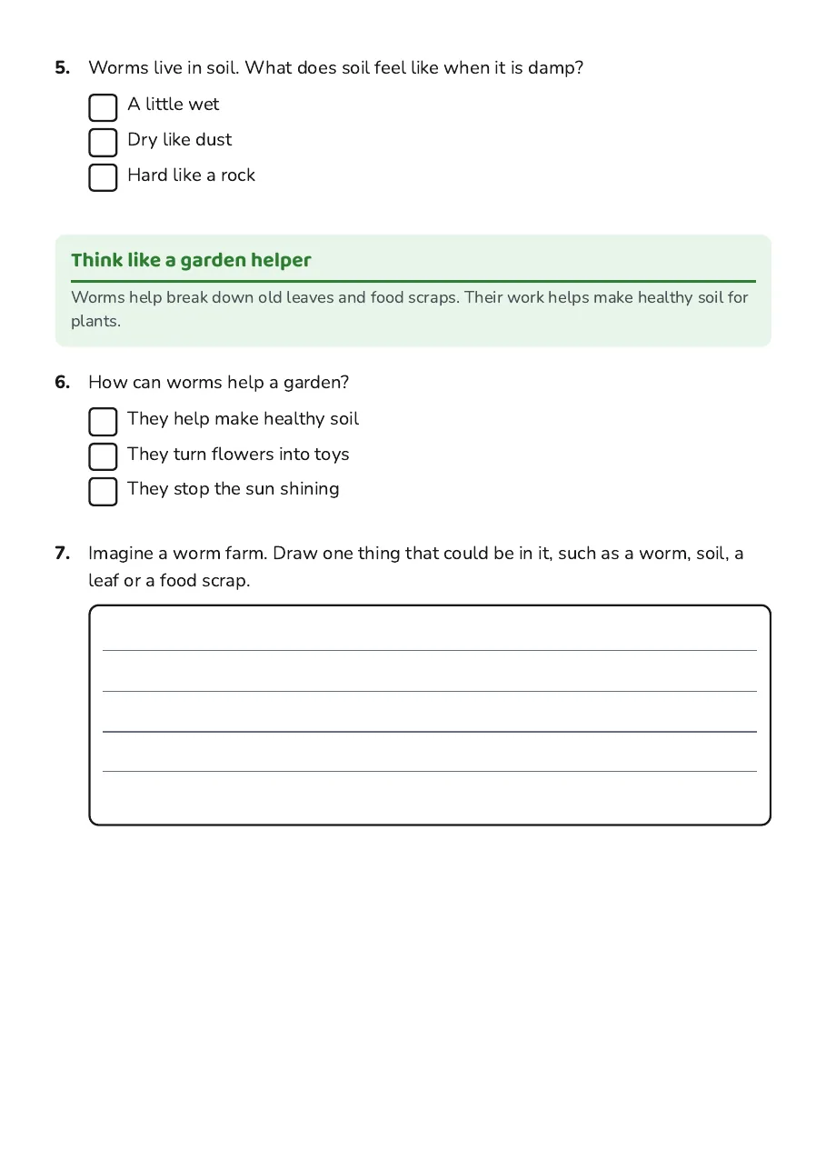 Worm Farm Observation, page 2 of 3: Think like a garden helper