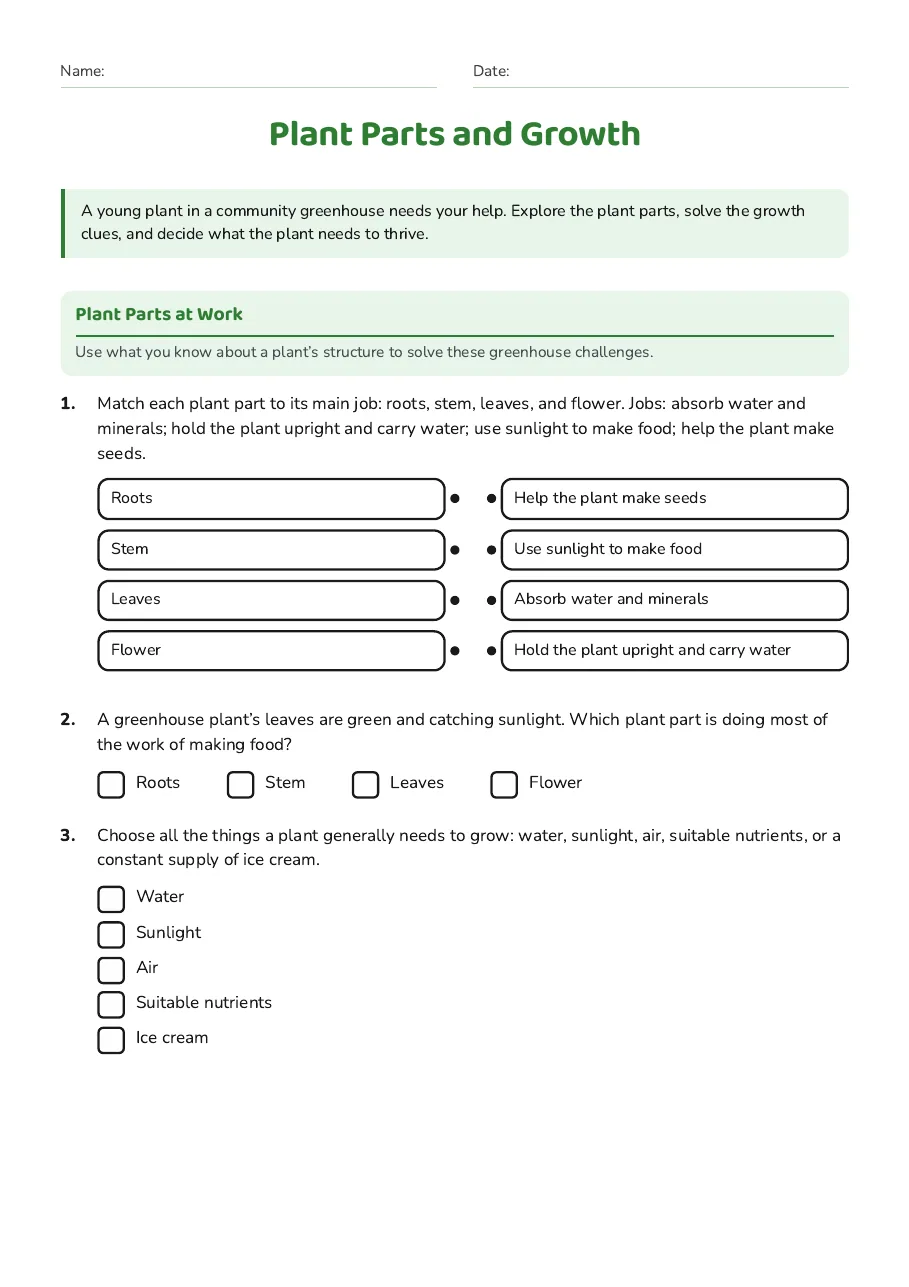 Plant Parts and Growth, page 1 of 3: Plant Parts at Work