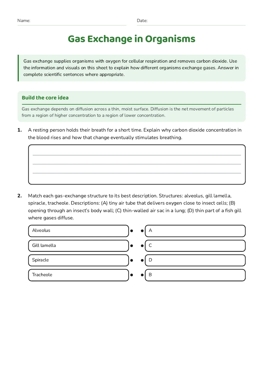 Gas Exchange in Organisms, page 1 of 3: Build the core idea