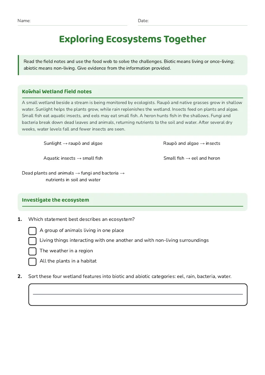 Exploring Ecosystems Together, page 1 of 3: Kōwhai Wetland field notes, Investigate the ecosystem