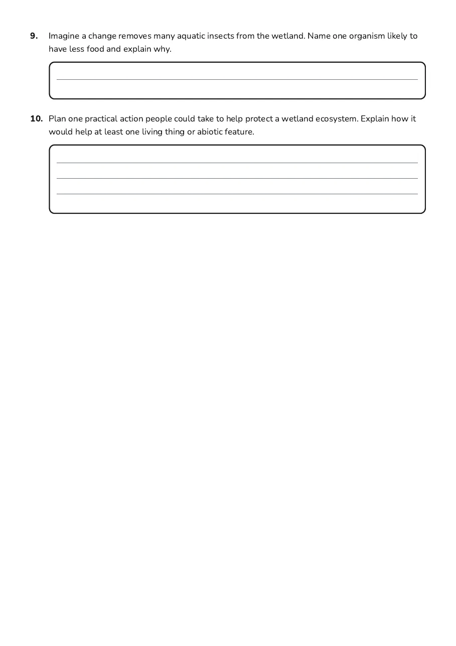 Exploring Ecosystems Together, page 3 of 3: 9. Imagine a change removes many aquatic insects from the wetland. Name one organism…