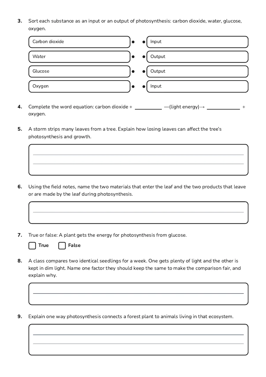 Photosynthesis in New Zealand Ecosystems, page 2 of 3: 3. Sort each substance as an input or an output of photosynthesis: carbon dioxide, water,…