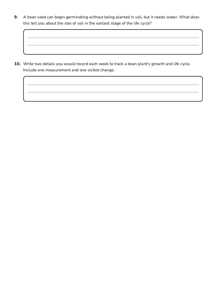 Plant Life Cycle Observation, page 3 of 3: 9. A bean seed can begin germinating without being planted in soil, but it needs water.…