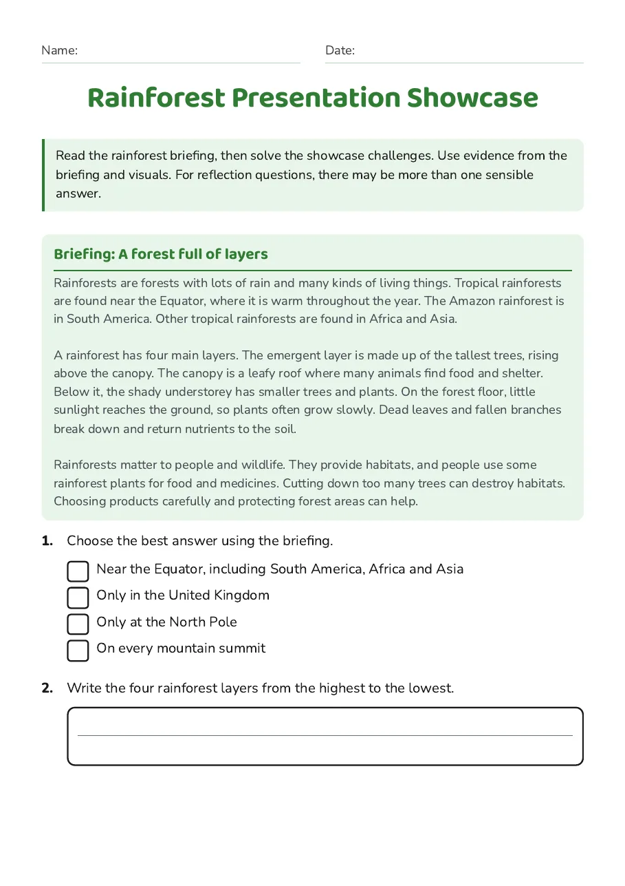 Rainforest Presentation Showcase, page 1 of 3: Briefing: A forest full of layers