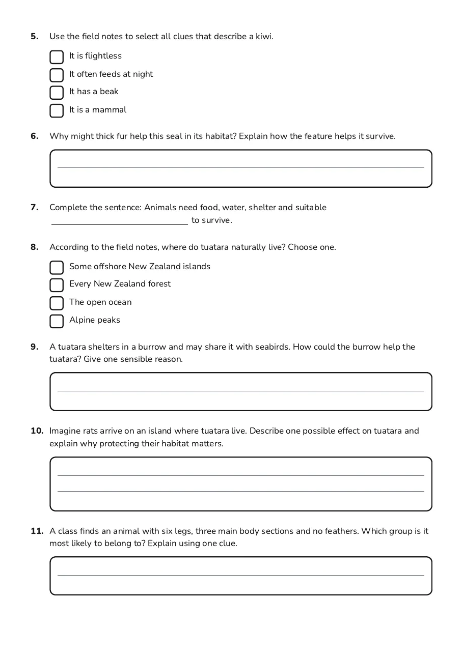 Animal Classification and Habitats, page 2 of 2: 5. Use the field notes to select all clues that describe a kiwi.