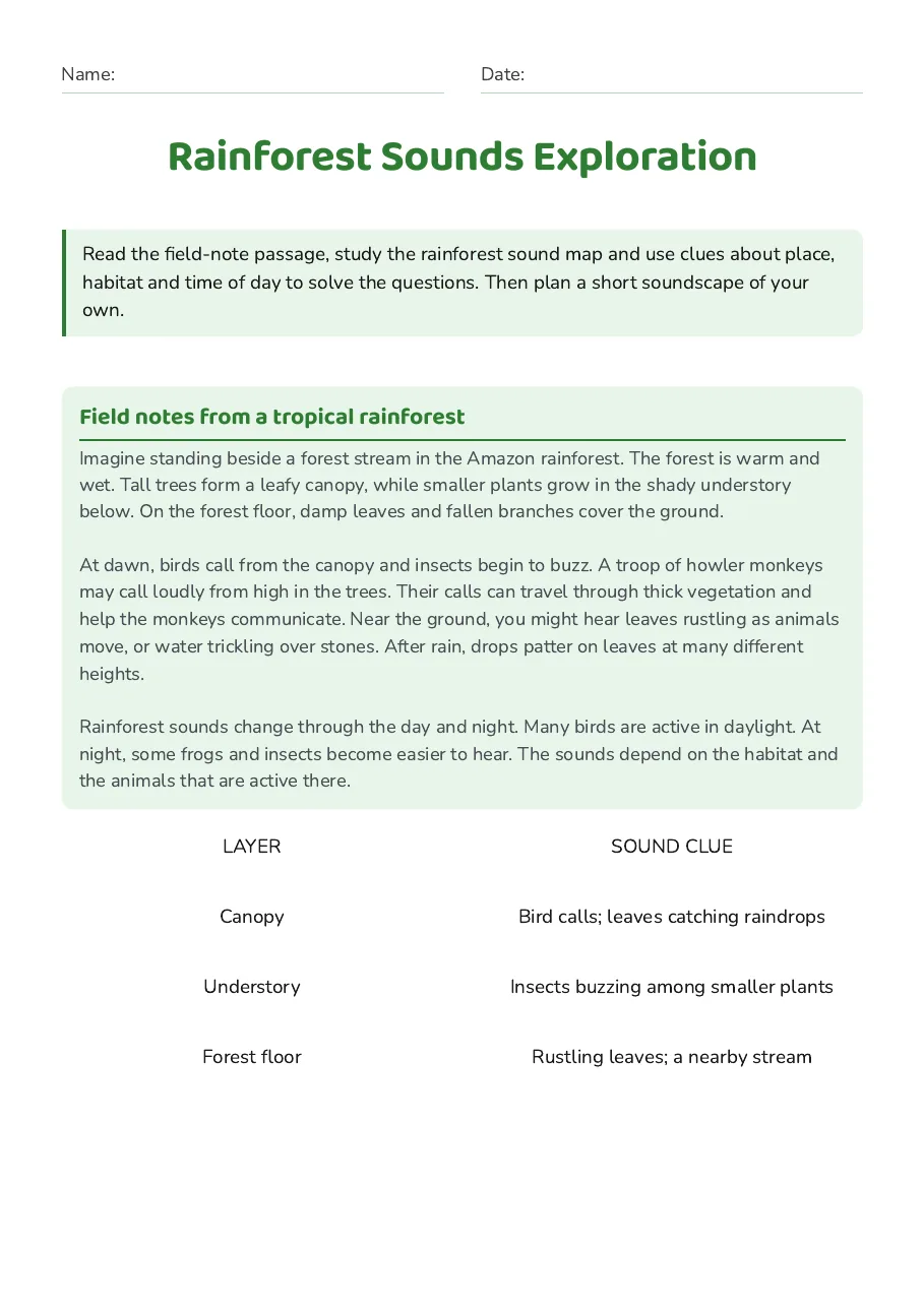 Rainforest Sounds Exploration, page 1 of 3: Field notes from a tropical rainforest