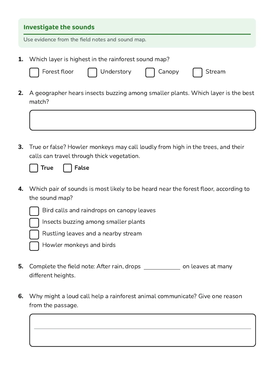 Rainforest Sounds Exploration, page 2 of 3: Investigate the sounds