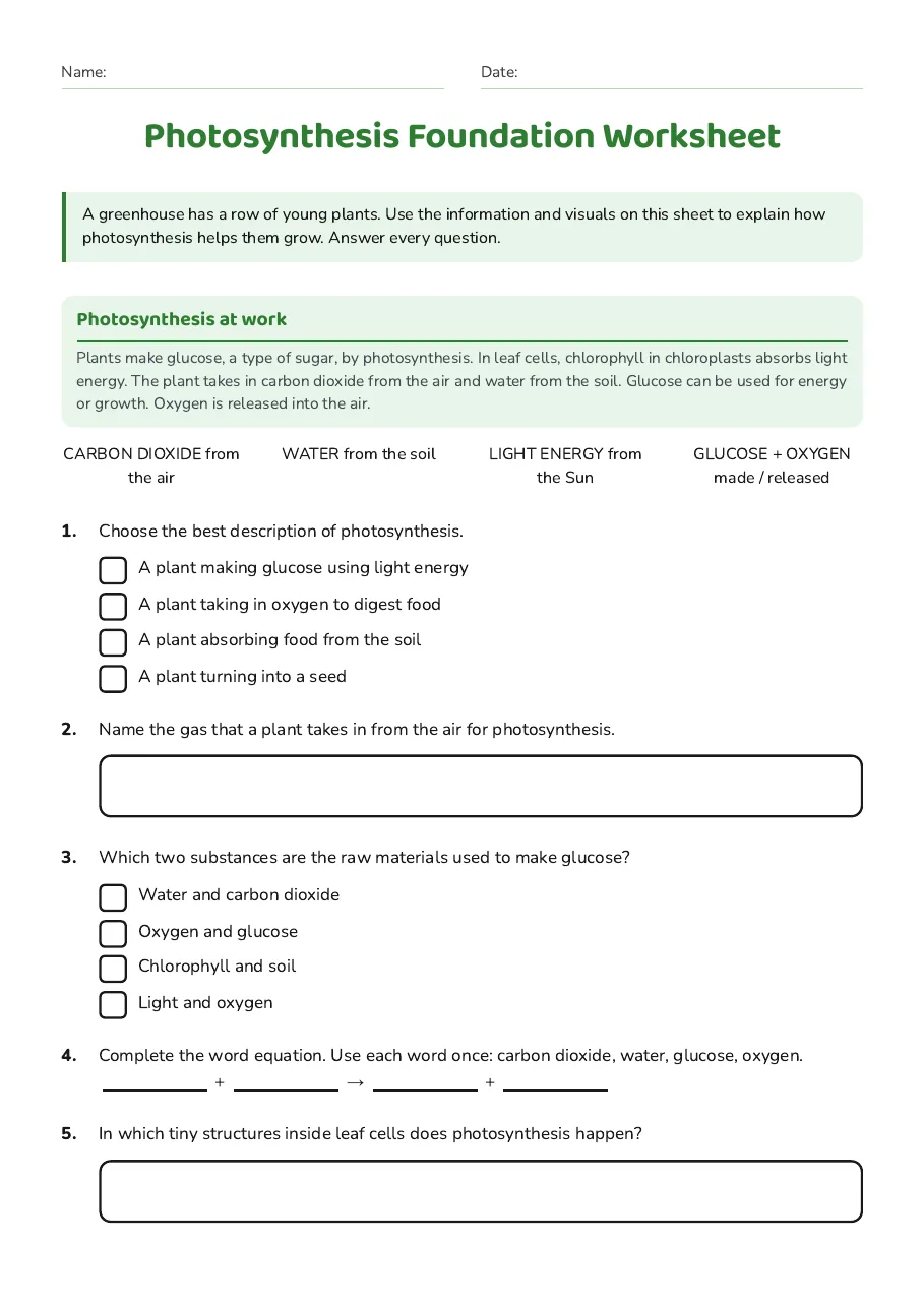 Photosynthesis Foundation Worksheet, page 1 of 2: Photosynthesis at work