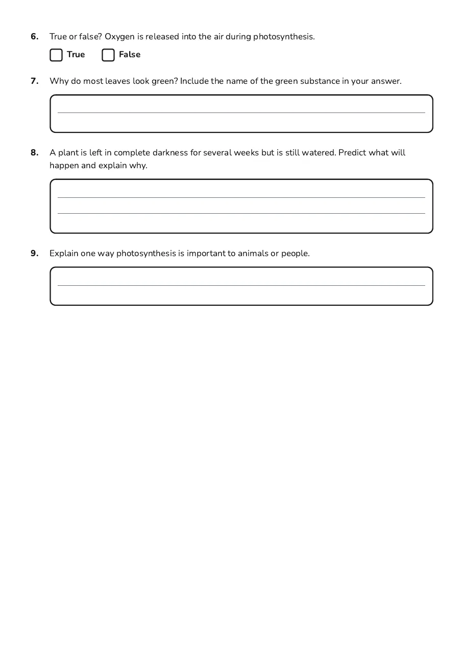 Photosynthesis Foundation Worksheet, page 2 of 2: 6. True or false? Oxygen is released into the air during photosynthesis.