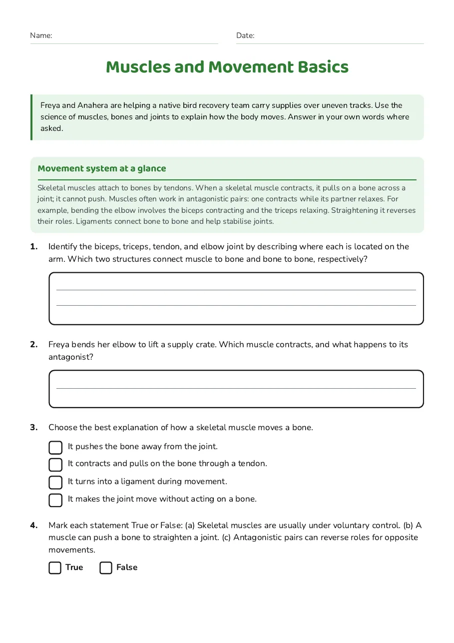 Muscles and Movement Basics, page 1 of 3: Movement system at a glance