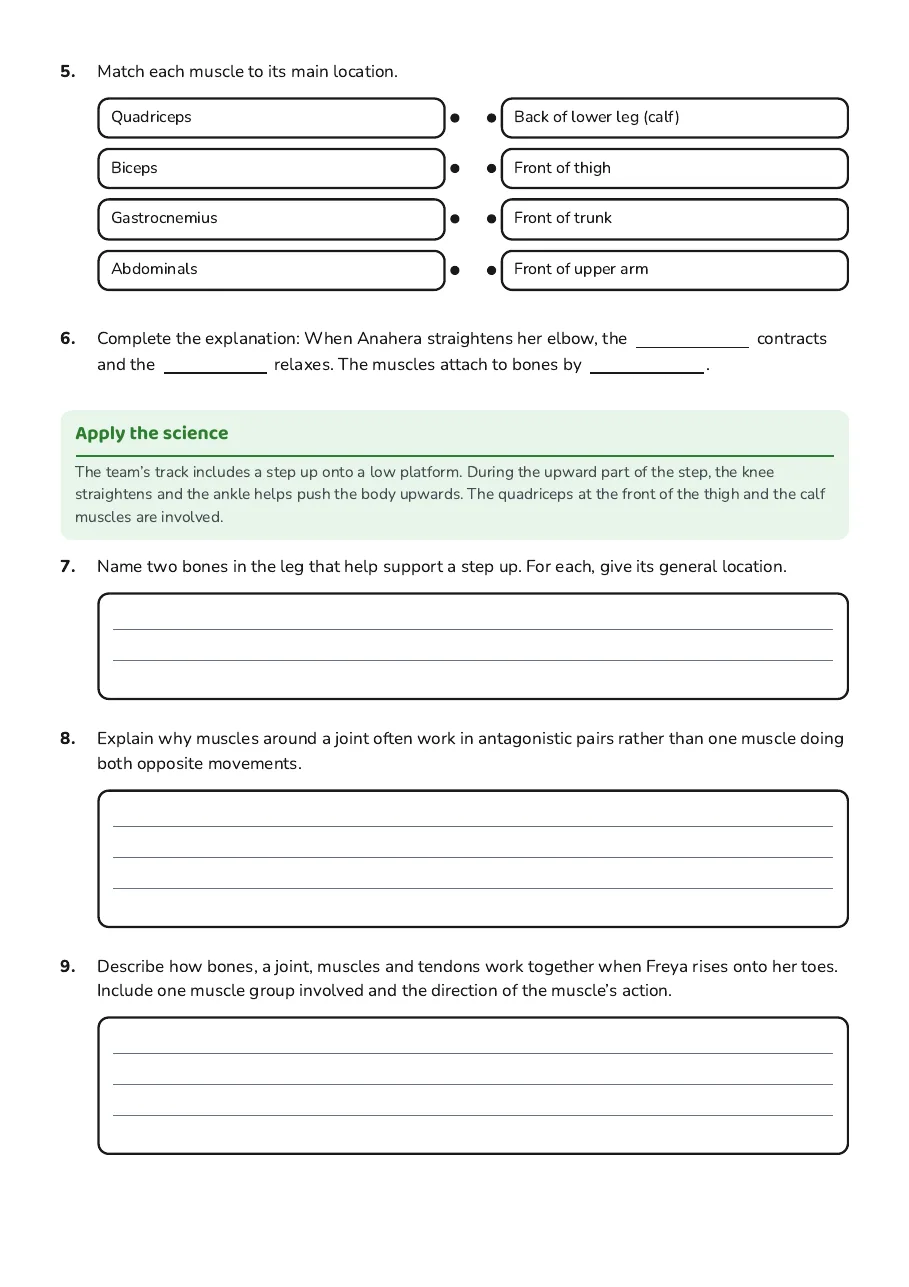 Muscles and Movement Basics, page 2 of 3: Apply the science