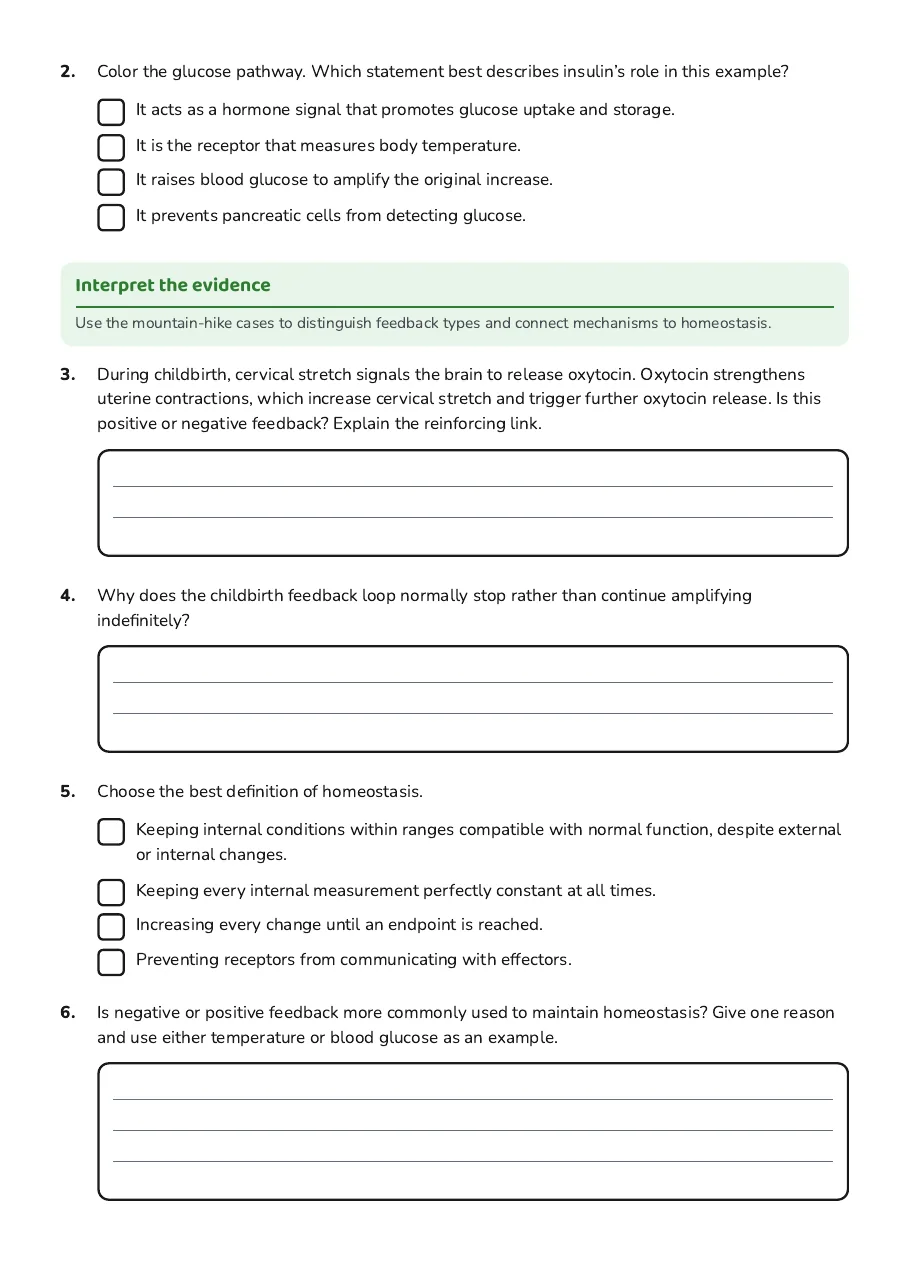 Feedback Mechanisms Coloring Sheet, page 2 of 3: Interpret the evidence