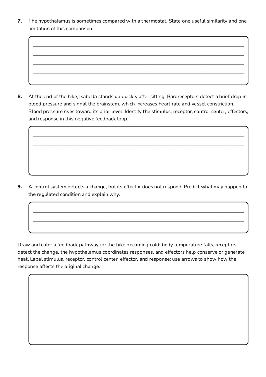 Feedback Mechanisms Coloring Sheet, page 3 of 3: 7. The hypothalamus is sometimes compared with a thermostat. State one useful similarity…
