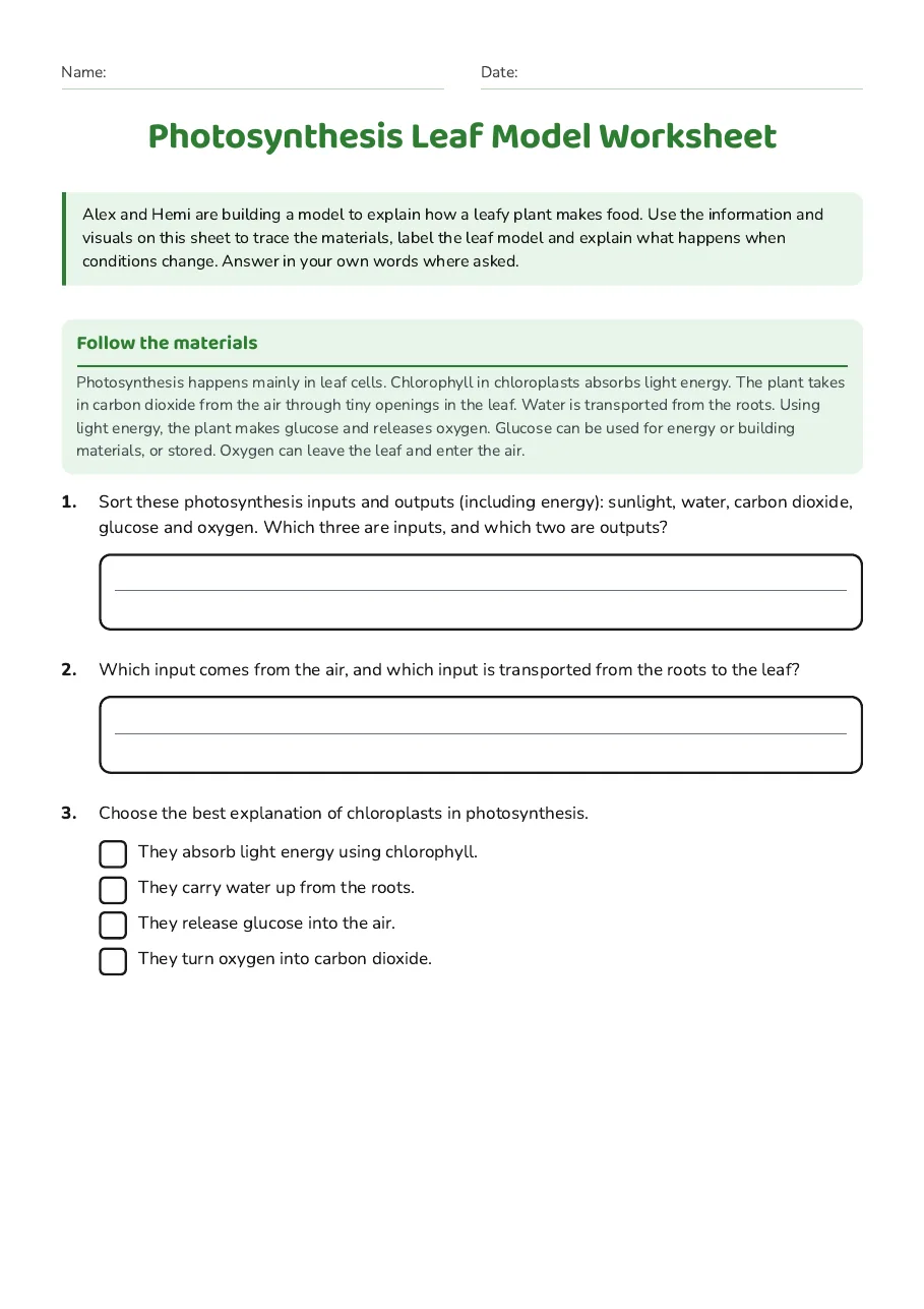Photosynthesis Leaf Model Worksheet, page 1 of 3: Follow the materials