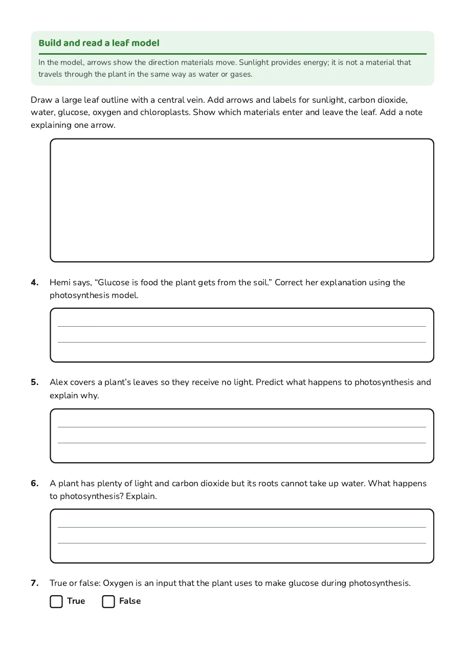 Photosynthesis Leaf Model Worksheet, page 2 of 3: Build and read a leaf model