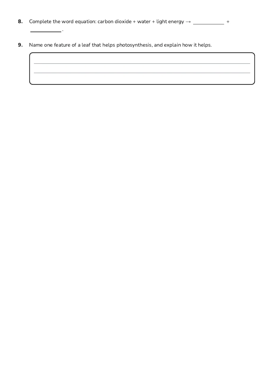 Photosynthesis Leaf Model Worksheet, page 3 of 3: 8. Complete the word equation: carbon dioxide + water + light energy → +