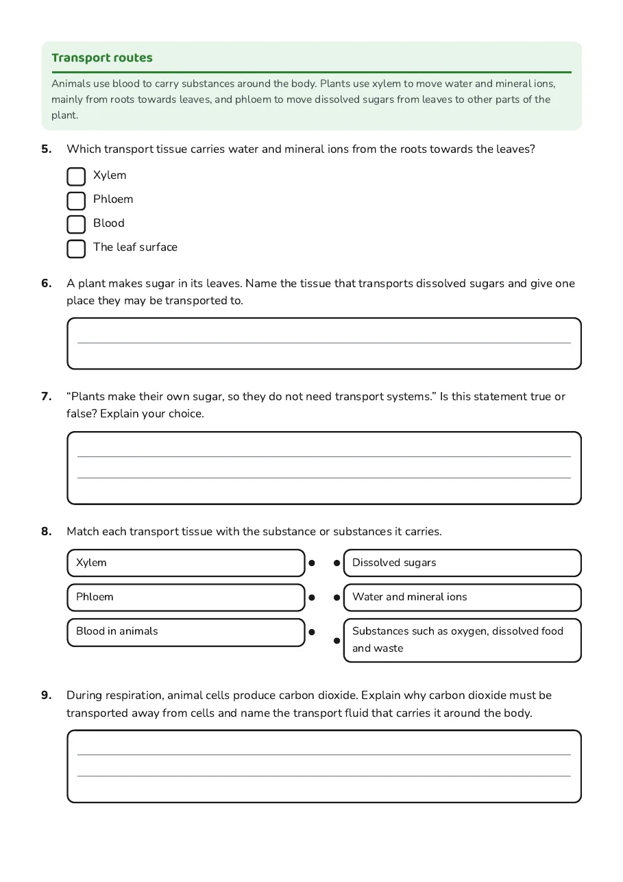 Transport in Living Organisms, page 2 of 2: Transport routes