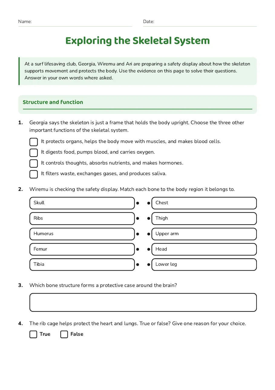 Exploring the Skeletal System, page 1 of 3: Structure and function