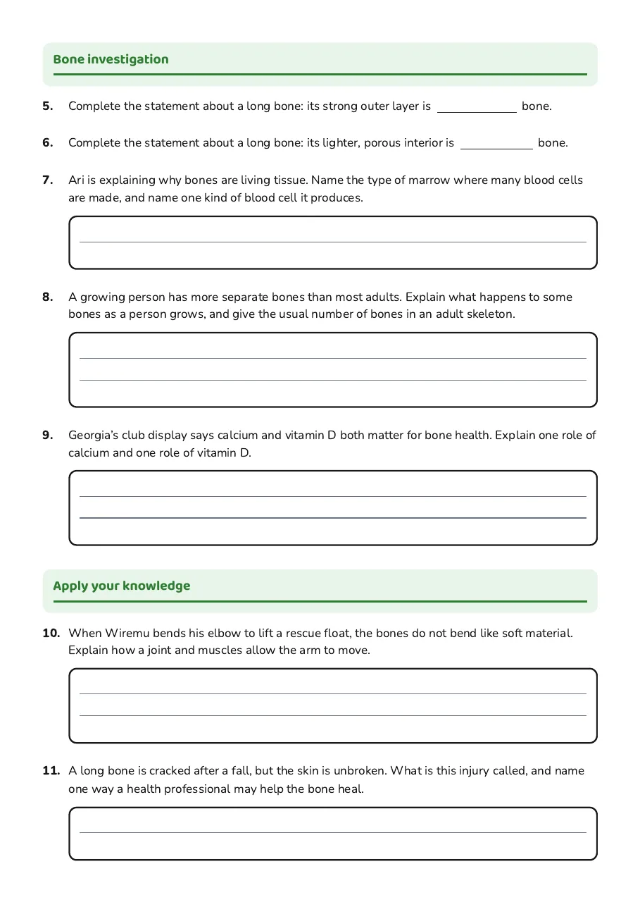 Exploring the Skeletal System, page 2 of 3: Bone investigation, Apply your knowledge