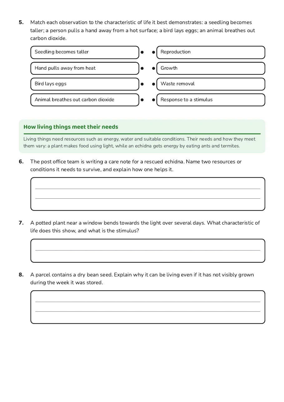 Living Things Characteristics Worksheet, page 2 of 3: How living things meet their needs