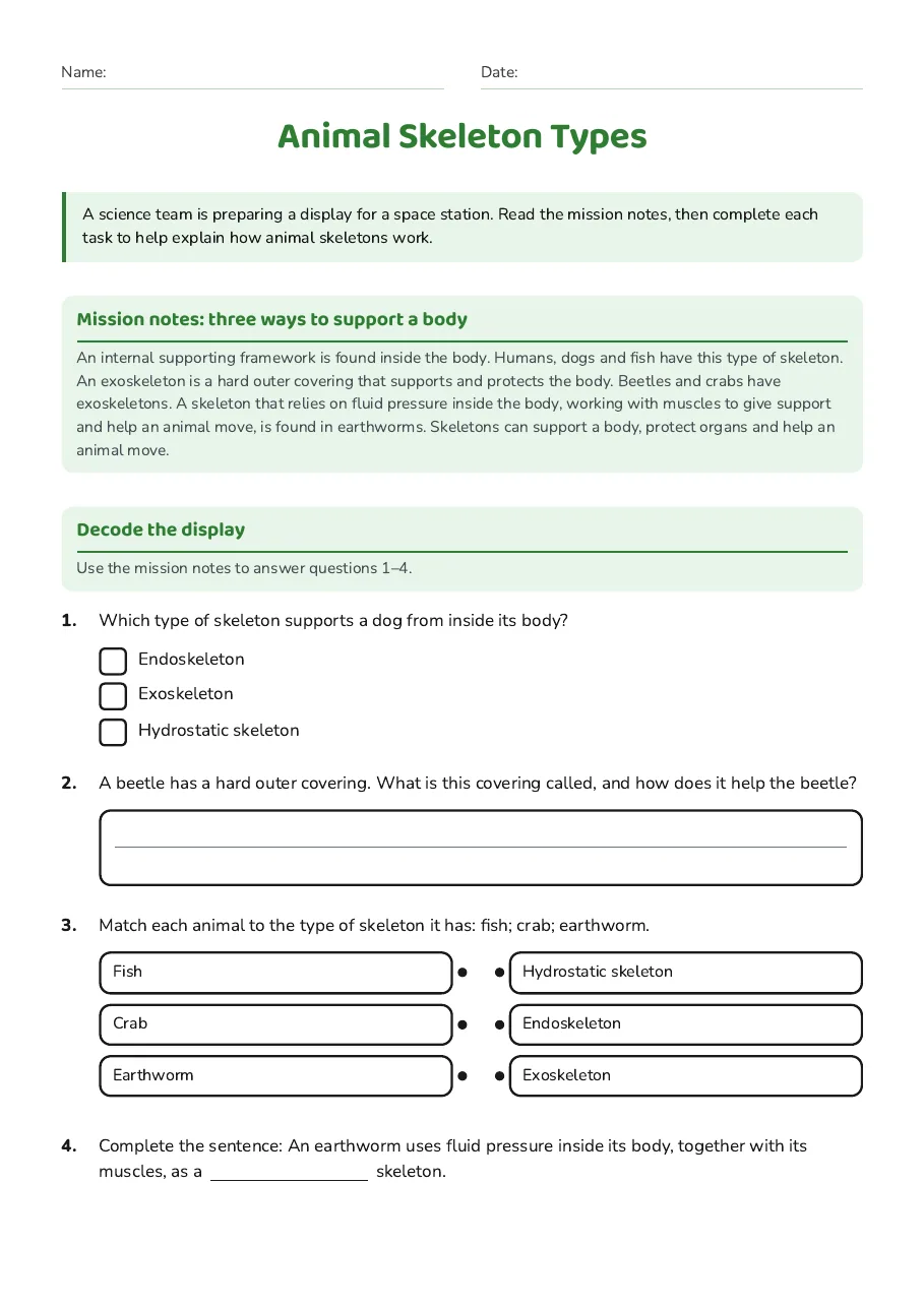 Animal Skeleton Types, page 1 of 3: Mission notes: three ways to support a body, Decode the display
