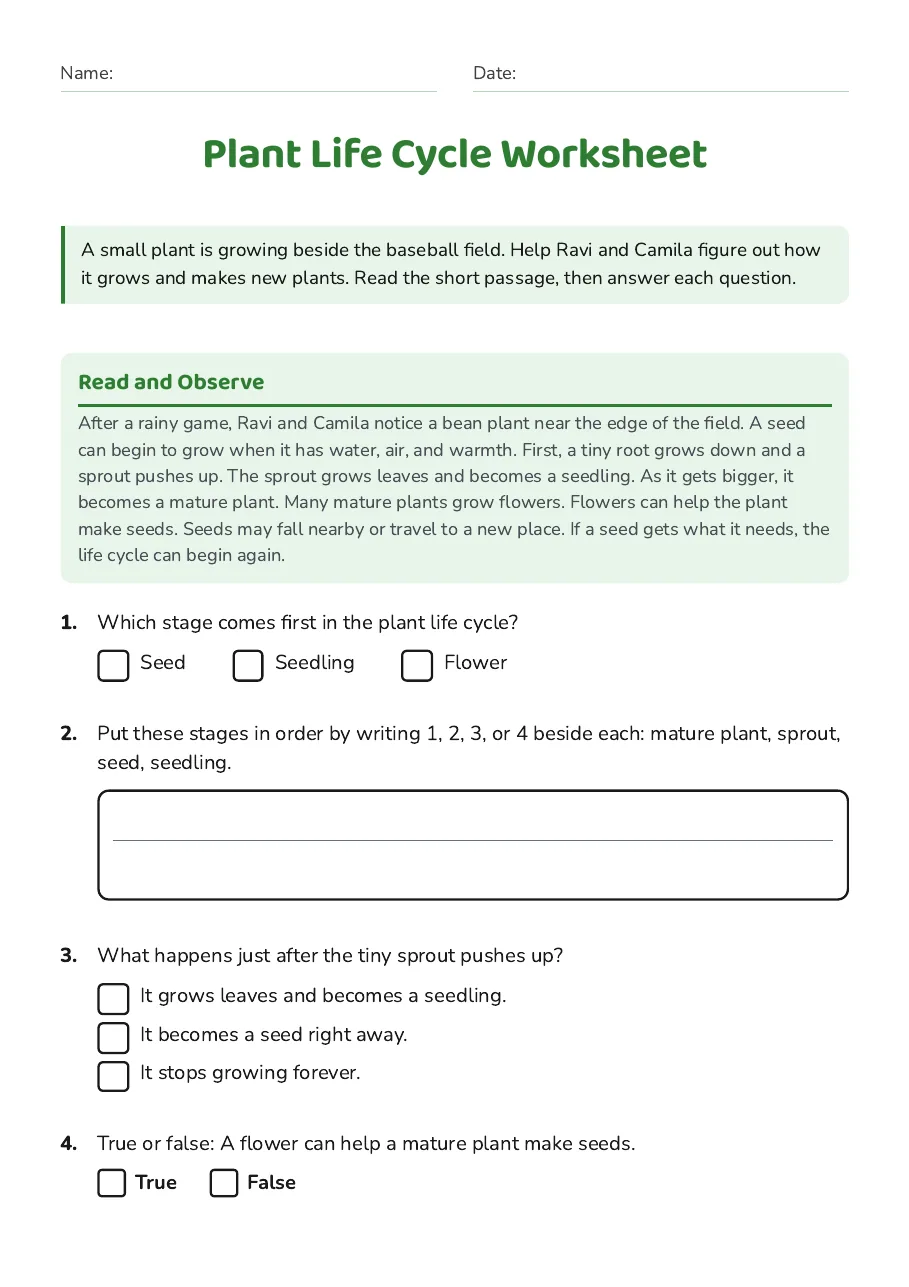 Plant Life Cycle Worksheet, page 1 of 3: Read and Observe