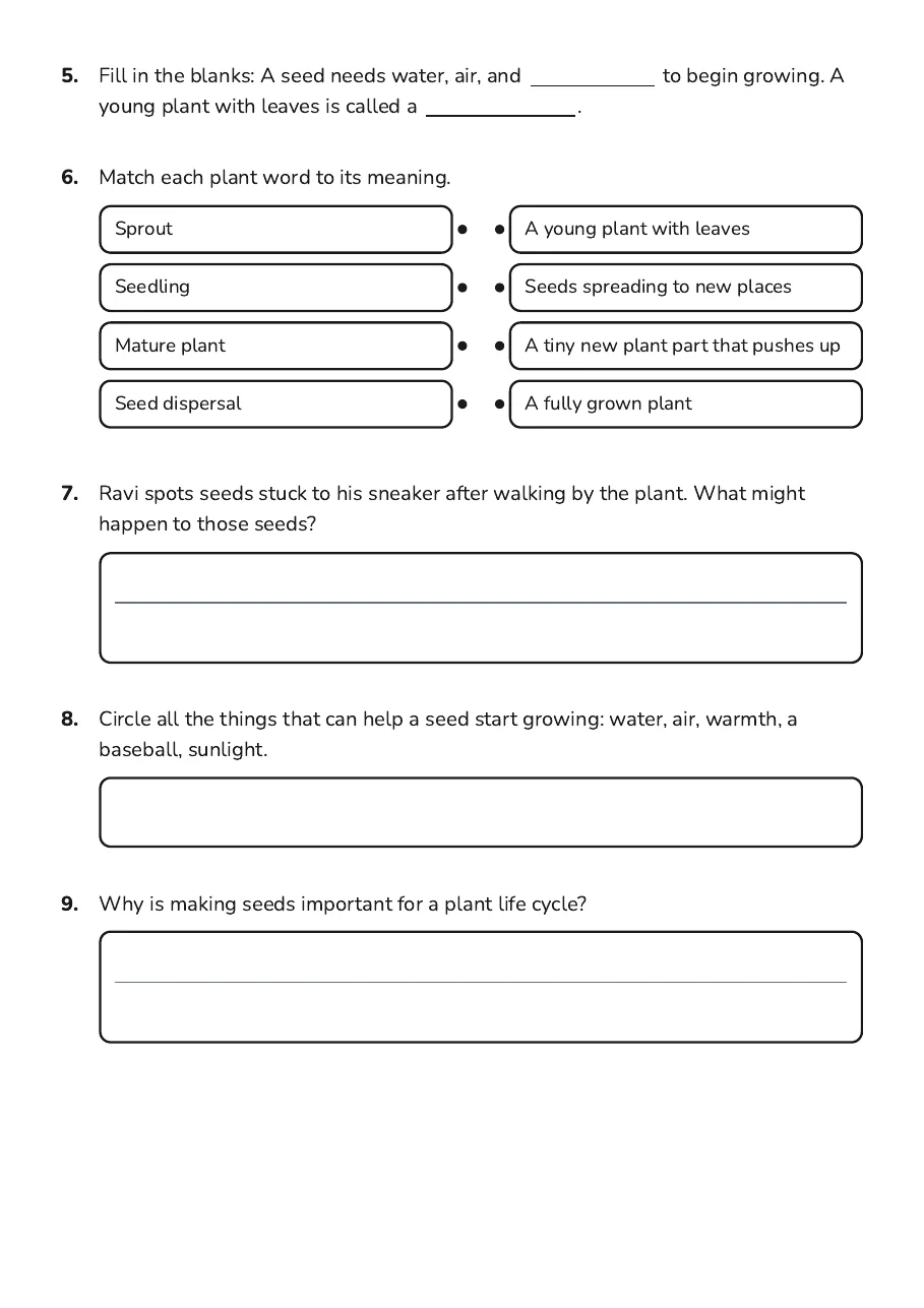 Plant Life Cycle Worksheet, page 2 of 3: 5. Fill in the blanks: A seed needs water, air, and to begin growing. A
