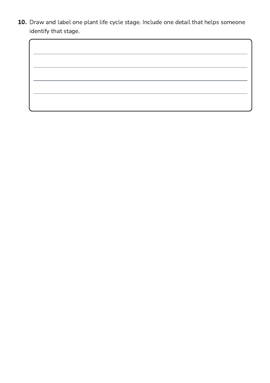 Plant Life Cycle Worksheet, page 3 of 3: 10. Draw and label one plant life cycle stage. Include one detail that helps someone