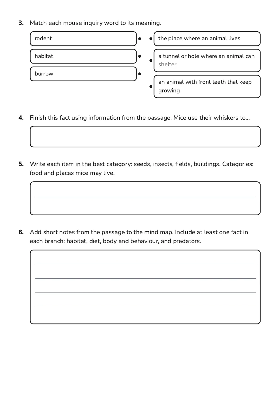 Mouse Inquiry Mind Map, page 2 of 4: 3. Match each mouse inquiry word to its meaning.