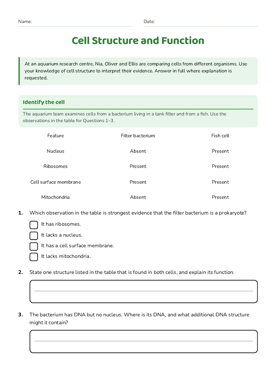 Cell Structure and Function, page 1 of 3: Identify the cell