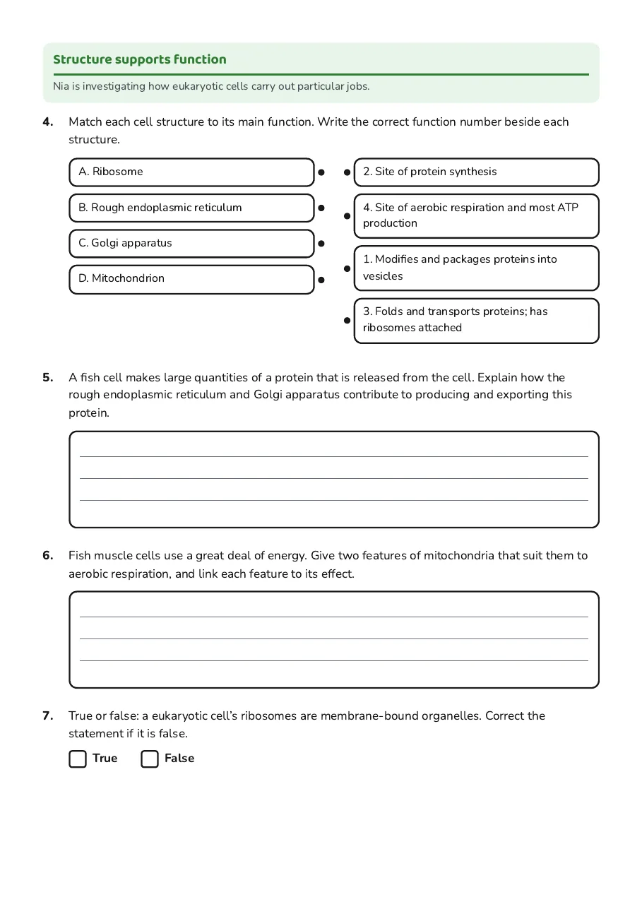 Cell Structure and Function, page 2 of 3: Structure supports function