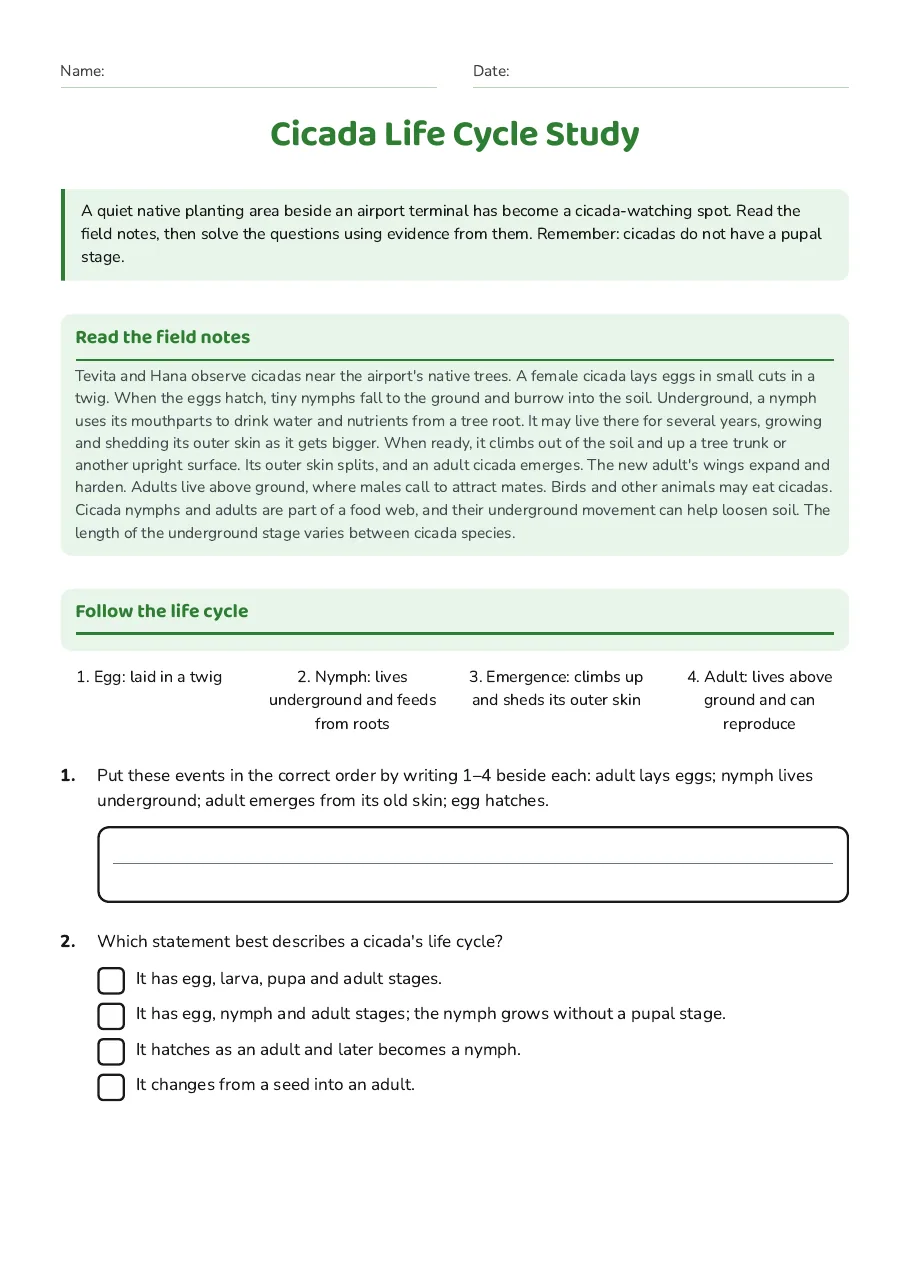 Cicada Life Cycle Study, page 1 of 3: Read the field notes, Follow the life cycle