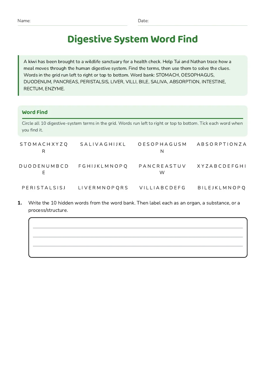 Digestive System Word Find, page 1 of 4: Word Find, Word bank