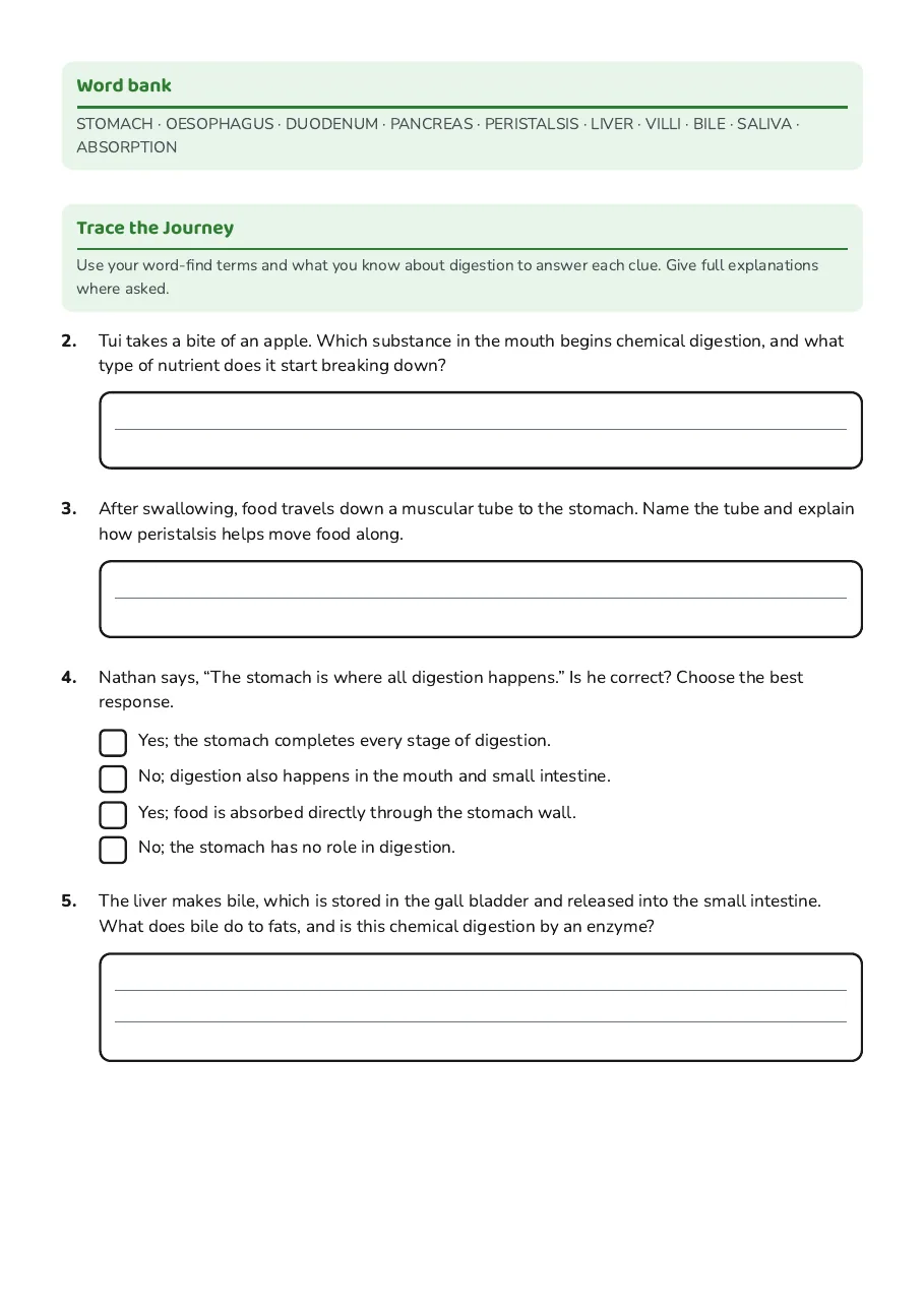Digestive System Word Find, page 2 of 4: Word bank, Trace the Journey