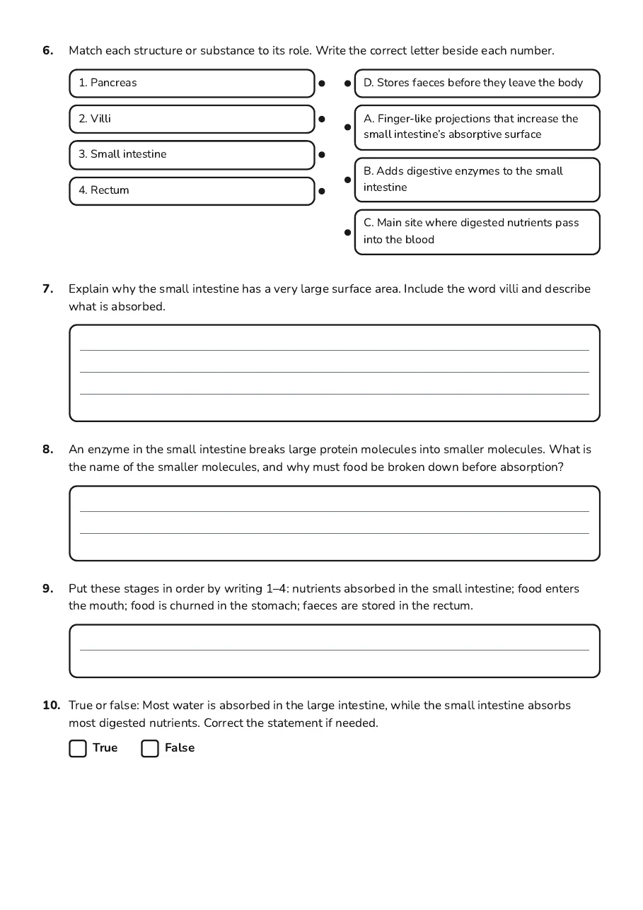 Digestive System Word Find, page 3 of 4: 6. Match each structure or substance to its role. Write the correct letter beside each…