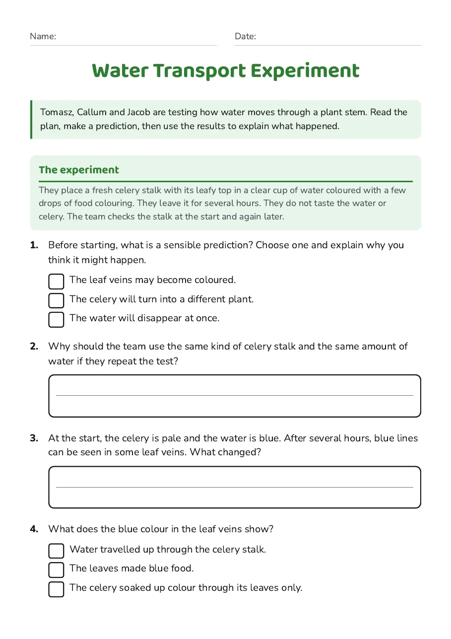 Water Transport Experiment, page 1 of 2: The experiment