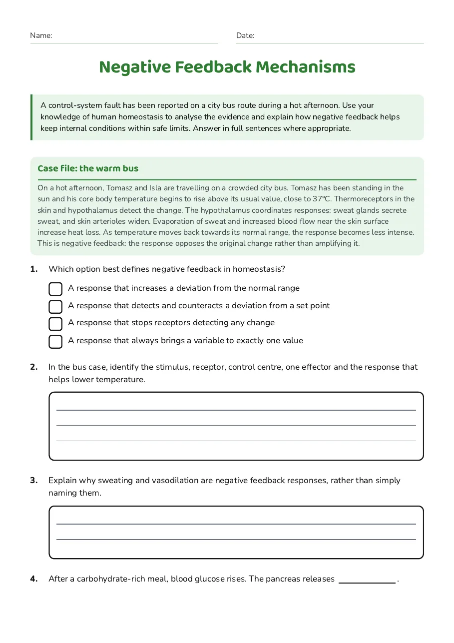 Negative Feedback Mechanisms, page 1 of 3: Case file: the warm bus