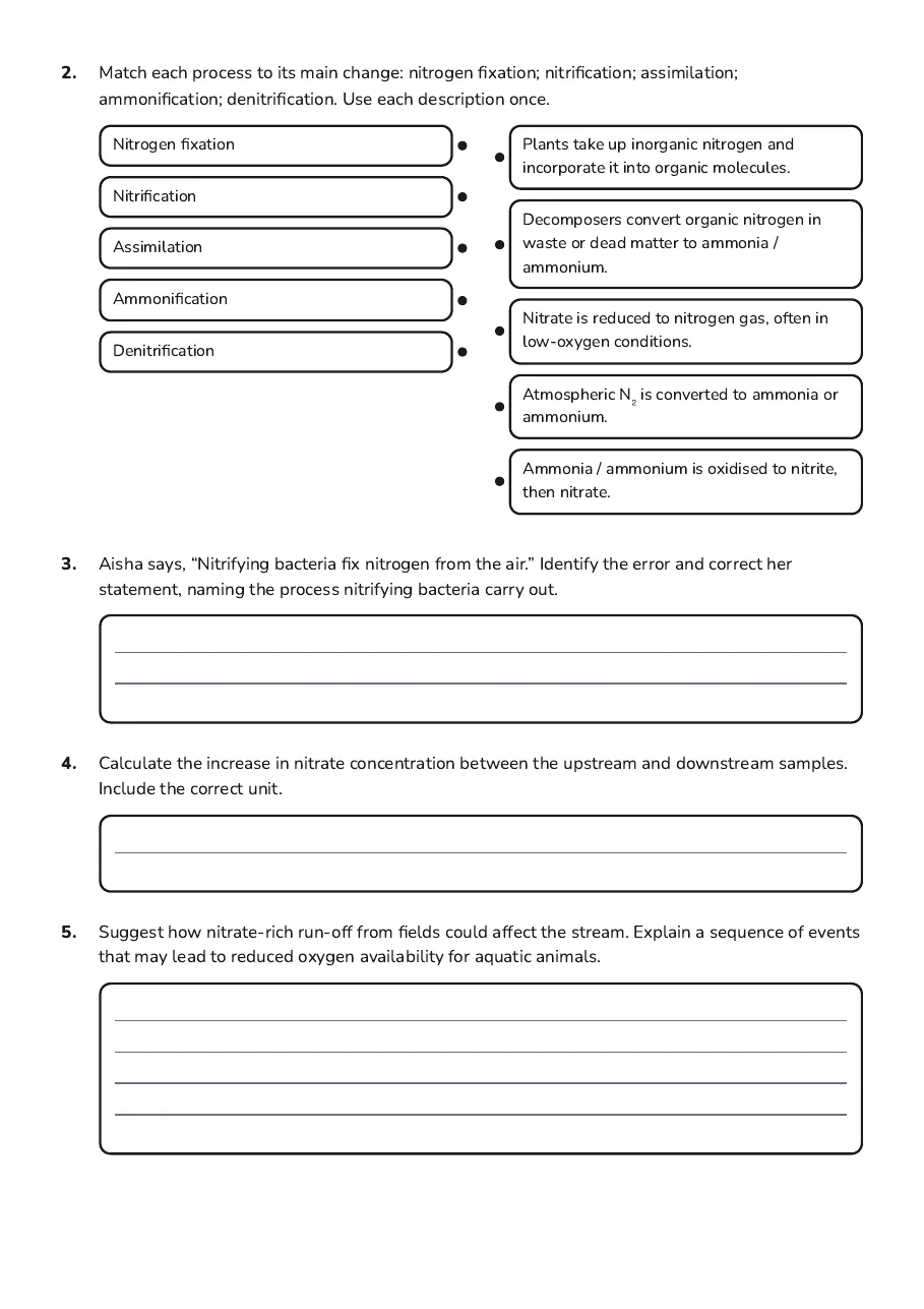 Nitrogen Cycle Worksheets, page 2 of 3: 2. Match each process to its main change: nitrogen fixation; nitrification; assimilation;
