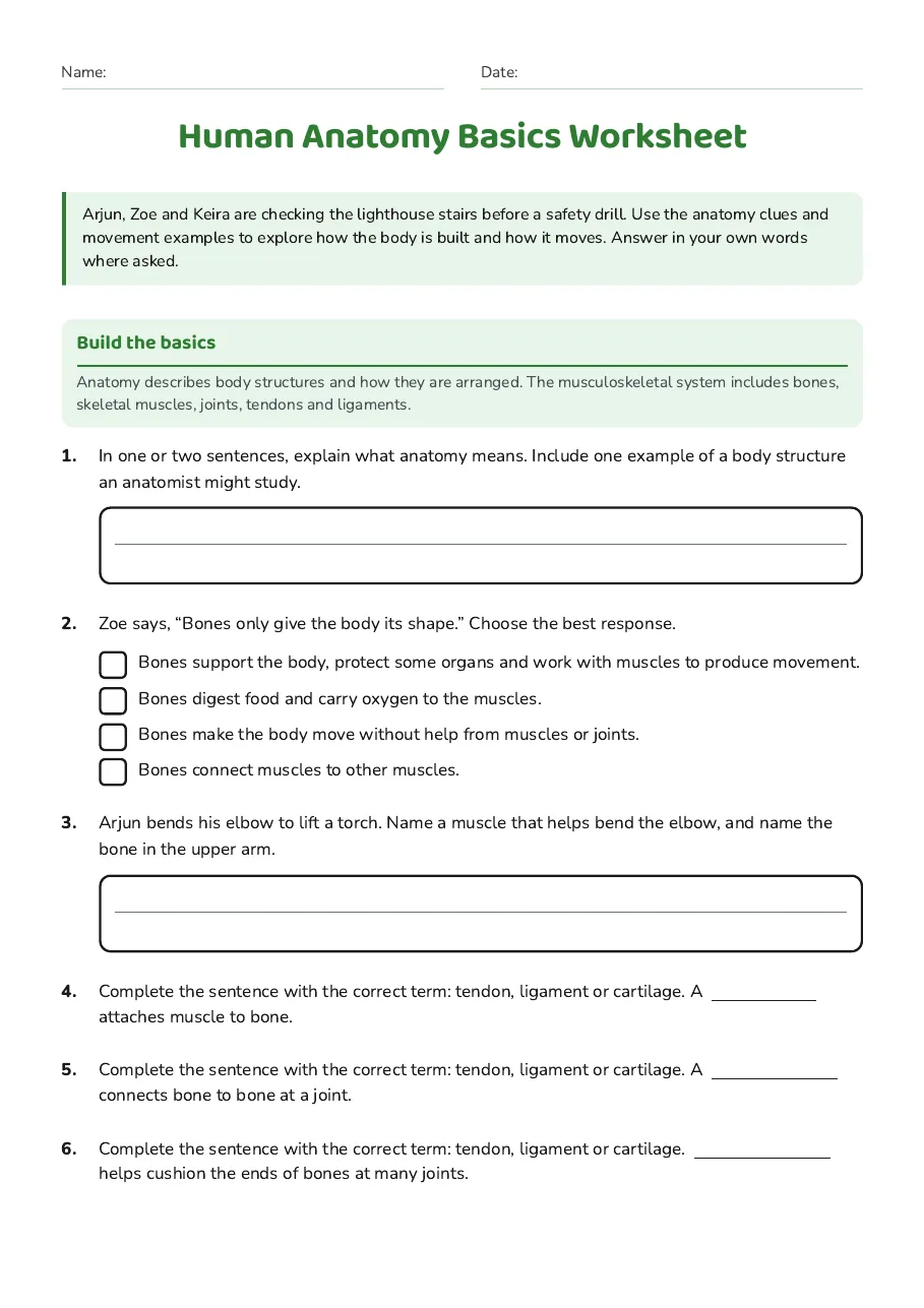 Human Anatomy Basics Worksheet, page 1 of 2: Build the basics