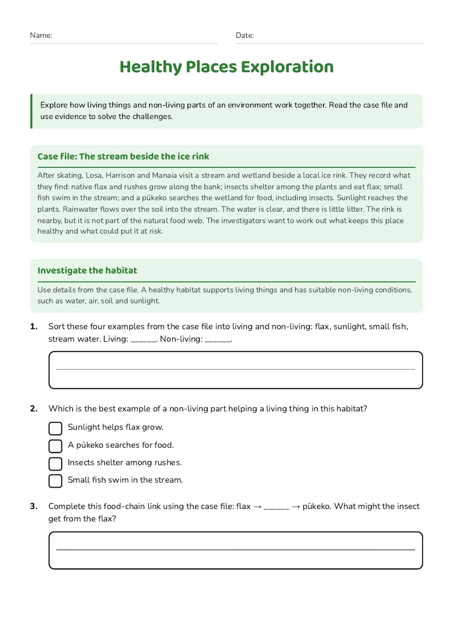 Healthy Places Exploration, page 1 of 2: Case file: The stream beside the ice rink, Investigate the habitat