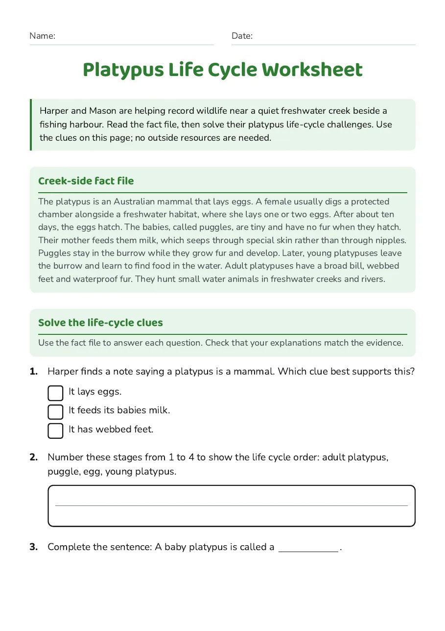 Platypus Life Cycle Worksheet, page 1 of 3: Creek-side fact file, Solve the life-cycle clues
