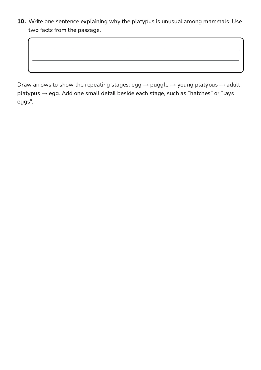 Platypus Life Cycle Worksheet, page 3 of 3: 10. Write one sentence explaining why the platypus is unusual among mammals. Use