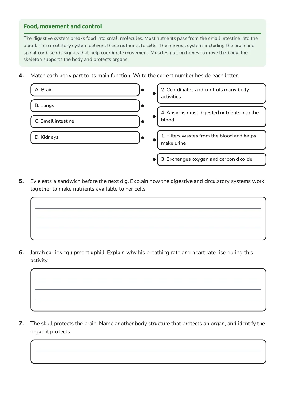 How Body Parts Work, page 2 of 3: Food, movement and control