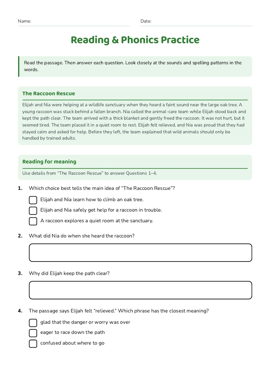 Reading & Phonics Practice, page 1 of 2: The Raccoon Rescue, Reading for meaning