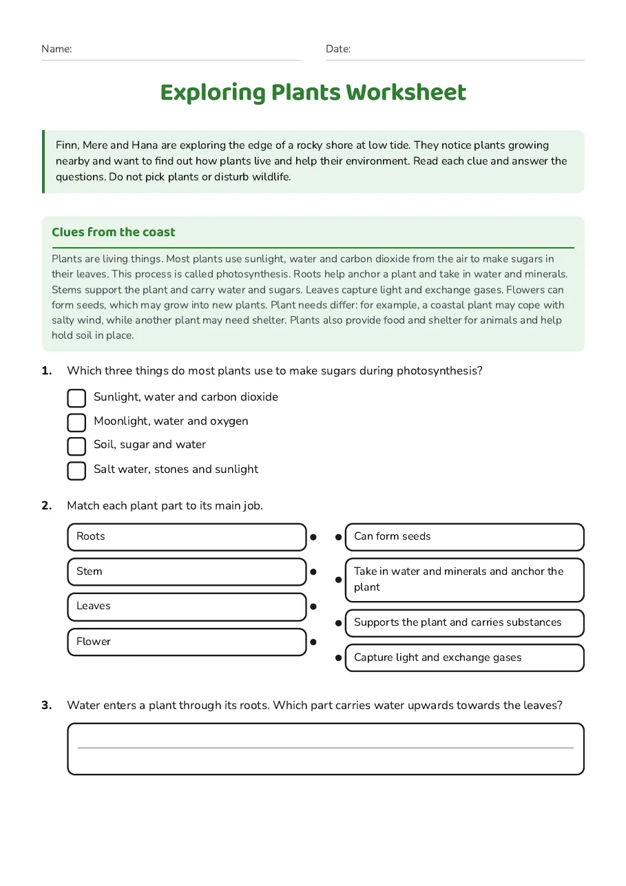 Exploring Plants Worksheet, page 1 of 3: Clues from the coast