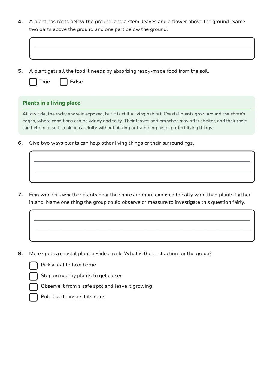 Exploring Plants Worksheet, page 2 of 3: Plants in a living place
