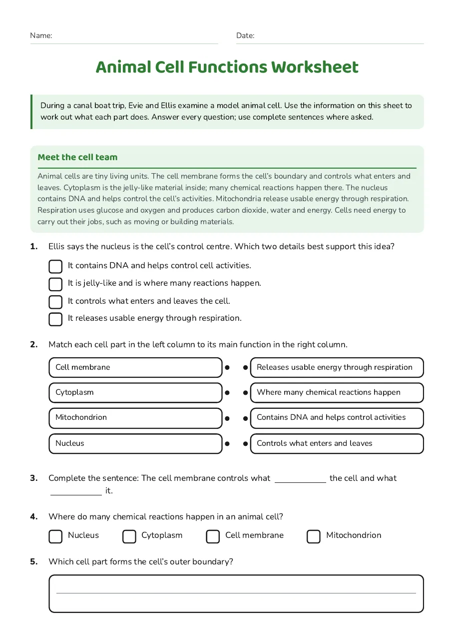 Animal Cell Functions Worksheet, page 1 of 2: Meet the cell team