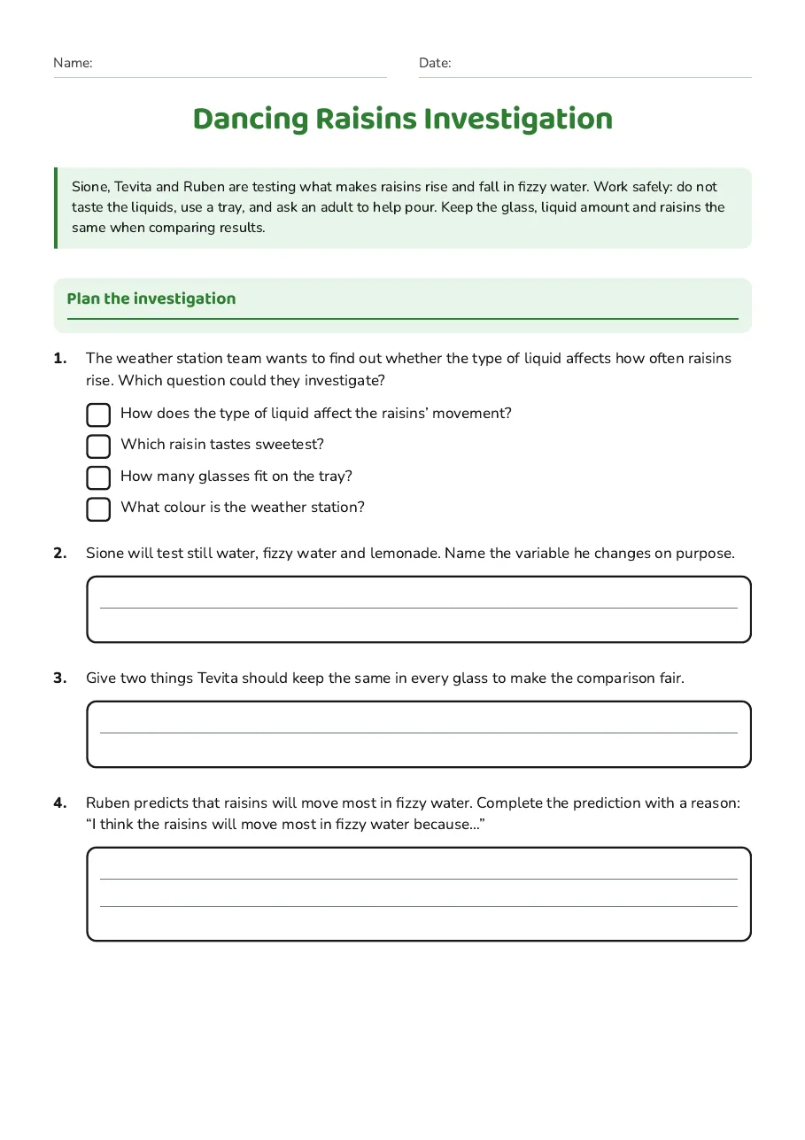 Dancing Raisins Investigation, page 1 of 3: Plan the investigation
