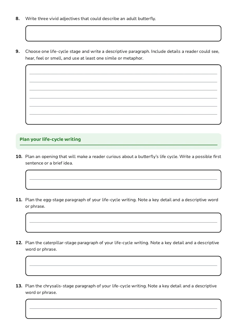 Butterfly Life Cycle Writing, page 2 of 3: Plan your life-cycle writing