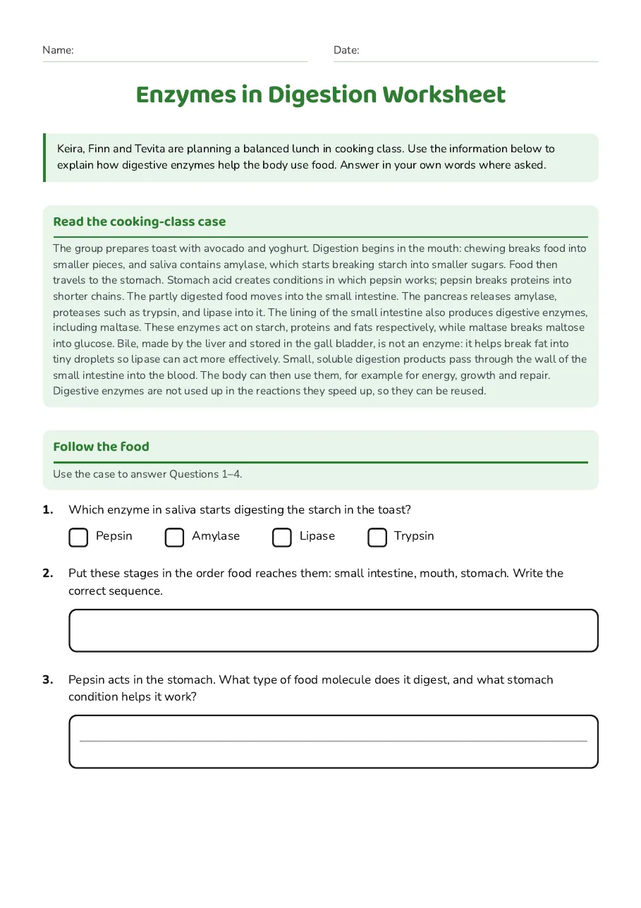 Enzymes in Digestion Worksheet, page 1 of 3: Read the cooking-class case, Follow the food